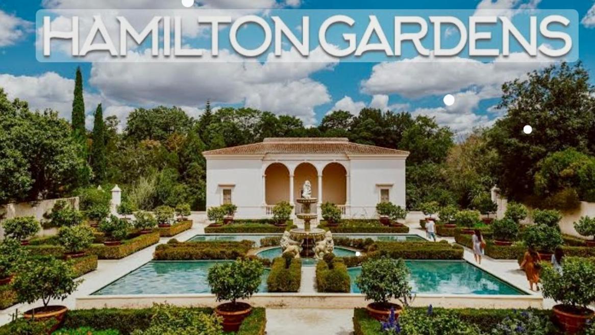 2 Bedroom Home Away From Home Near Cbd & Private Parking Hamilton Luaran gambar